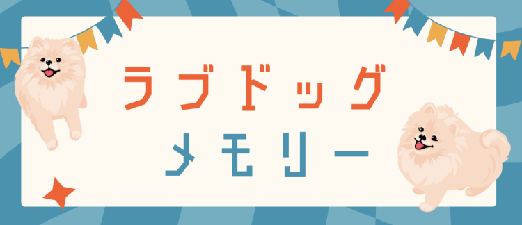 cook 今日なに作ろ？